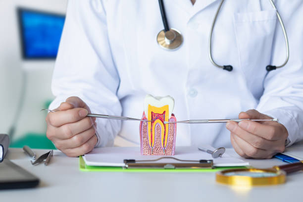 Best Tooth Pain Emergency Relief  in Middlesex, NC